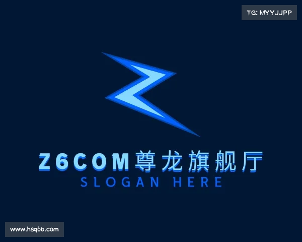 了解Z6com尊龙